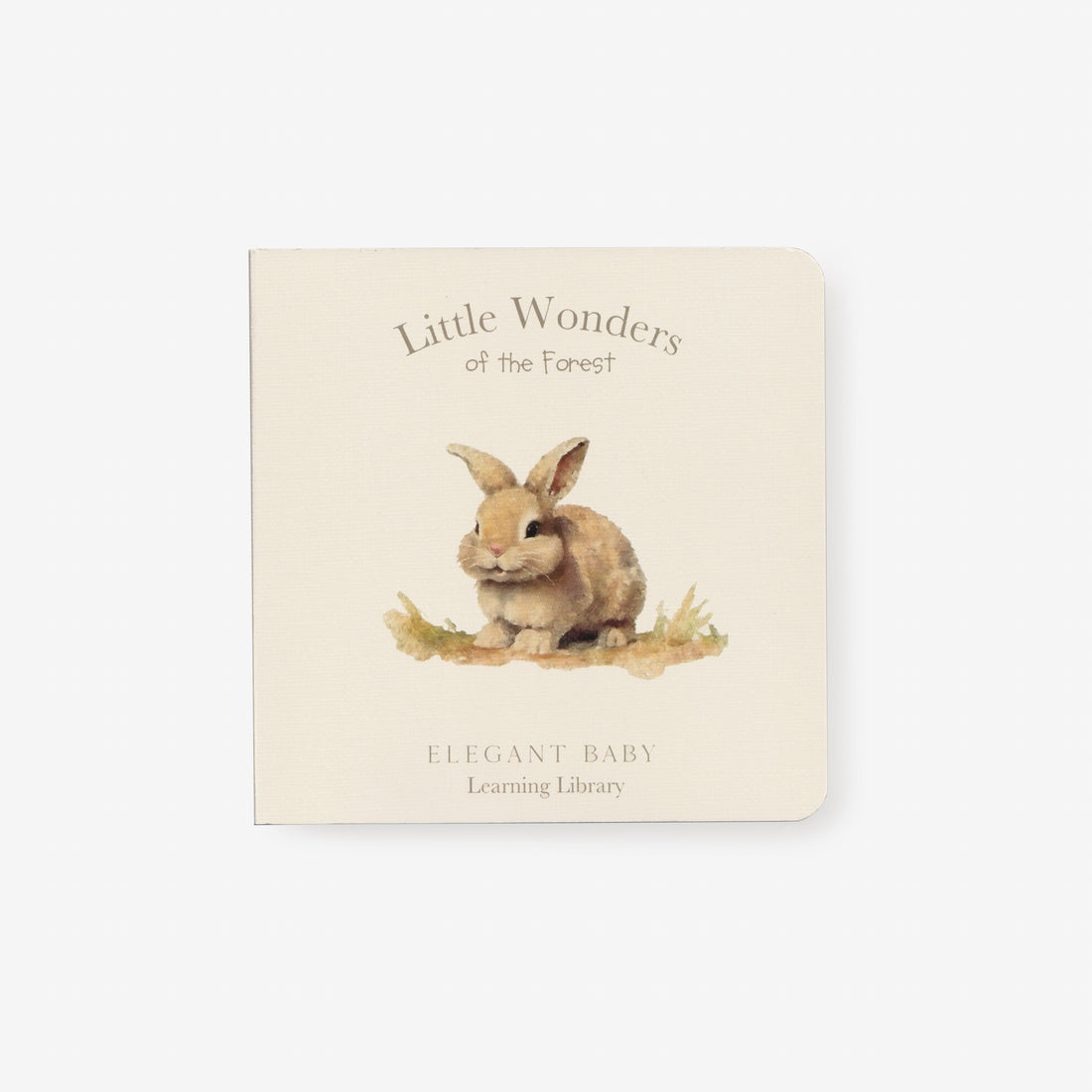Elegant Baby Little Wonders of the Forest Board Book
