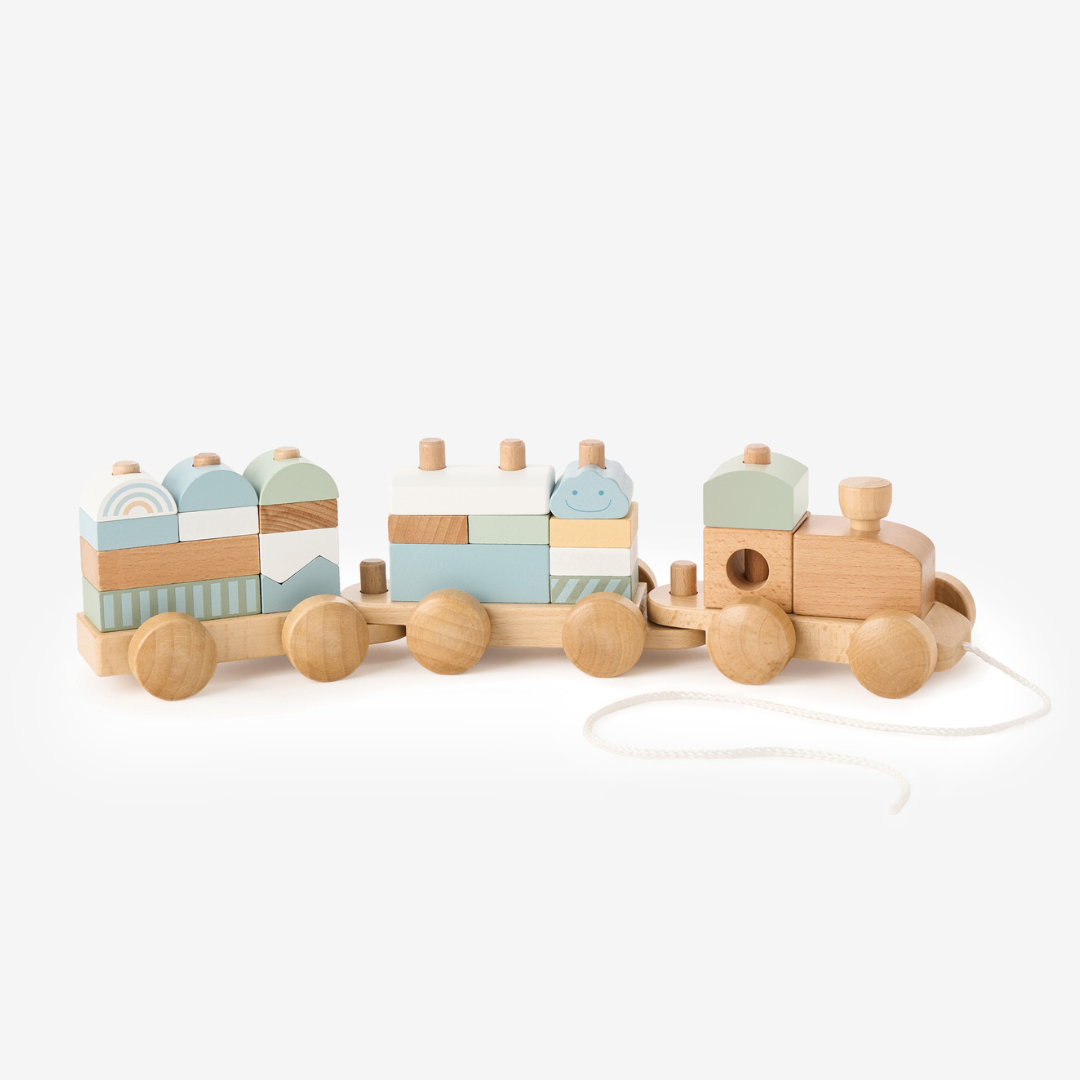 Elegant Baby Wooden Push Toy Train