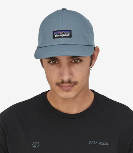 Patagonia store grey cap