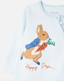 Joules Peter Rabbit Winfield - Blue Stripe Peter