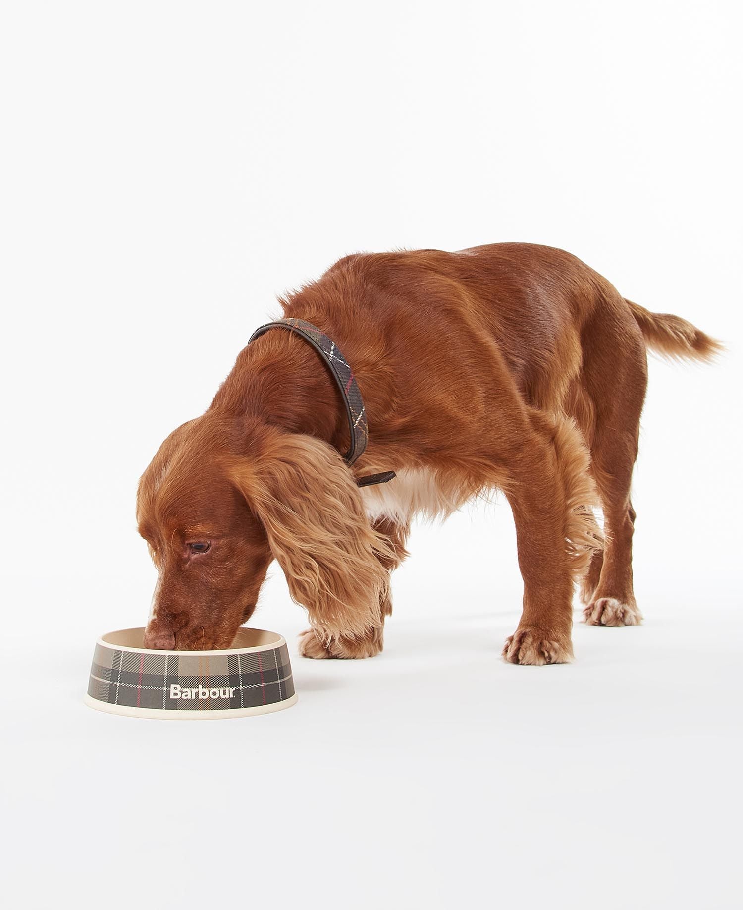 Barbour Tartan Dog Bowl - Classic Tartan