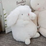 Ittybit Bunny
