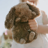 Wee Brownie Stuffed Bunny