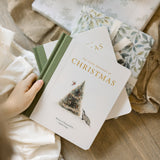 Our Little Adventure at Christmas by Tabitha Paige, M.S., CCC-SLP