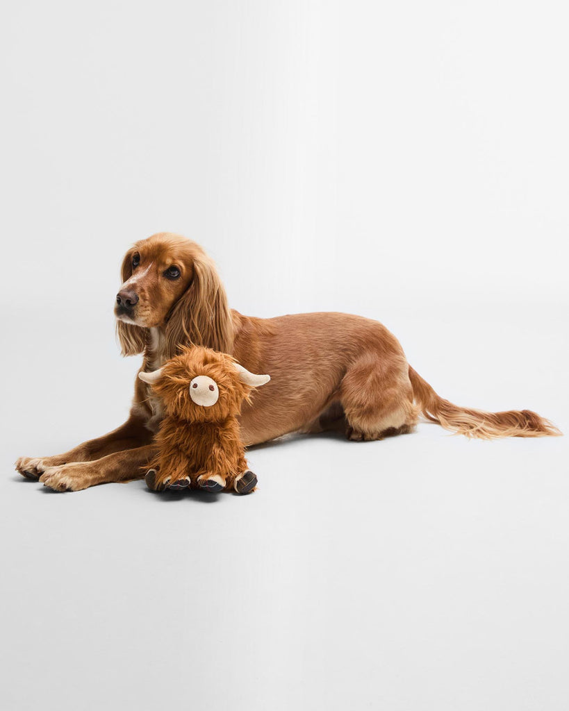 Barbour Highland Cow Dog Toy