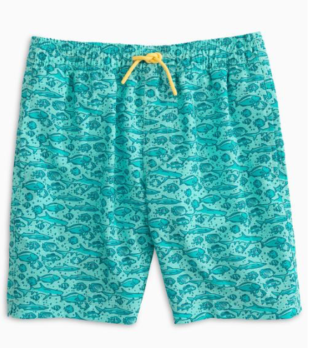 Boys school swim 2024 shorts